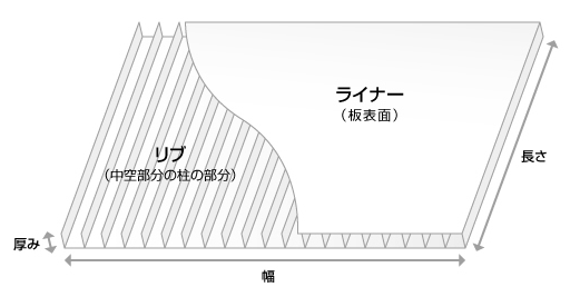 プラダンの構造と名称