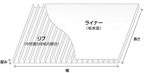 プラダンの構造と名称