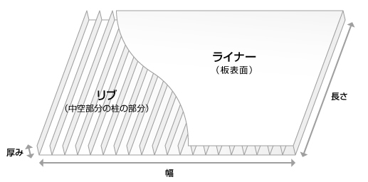 プラダンの構造と名称